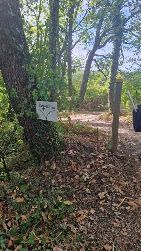 Panneau « Bifurcation » du balisage dans un chemin en sous-bois