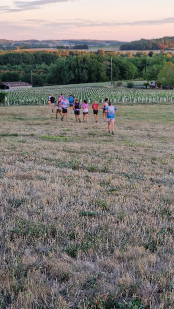 Groupe de coureurs descendant une prairie vers les vignes au coucher du soleil